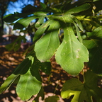 R0003838rg