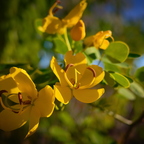R0003830rg