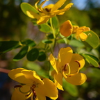 R0003836rg2