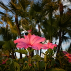 R0003888rg