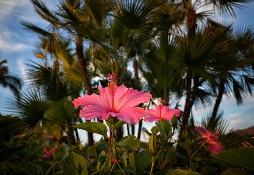 R0003888rg
