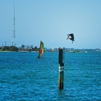 P1300117rg