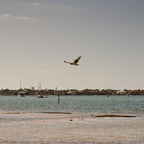 P1310262rg2