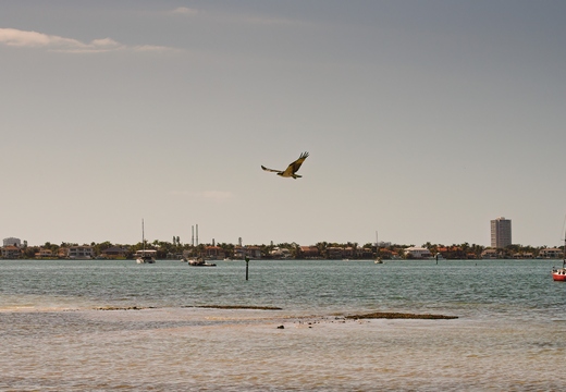 P1310262rg2