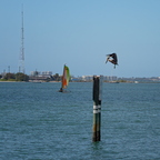 P1300117rg2