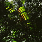 P1310199rg