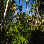 P1310225rg