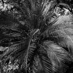 P1310305rg