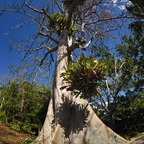 P1310319rg