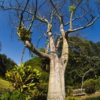 P1310324rg