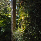R0004178rg