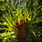 R0004193rg