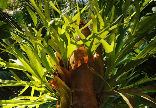 R0004193rg