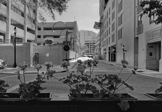 R0003931rg