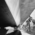R0003973rg