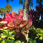 R0004078rg