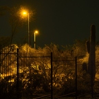 P4290014rg