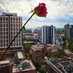 R0004578rg