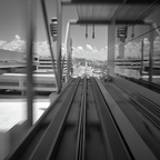 R0005229rg