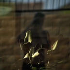 P7010021rg