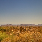 R0005557rg