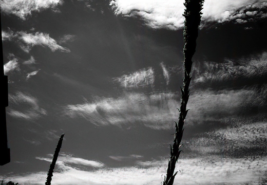 R0005643rg