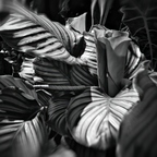 P7280006rg