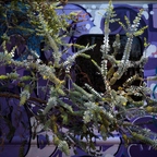 R0005655rg