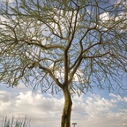 R0005759rg