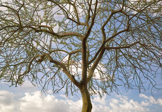R0005759rg