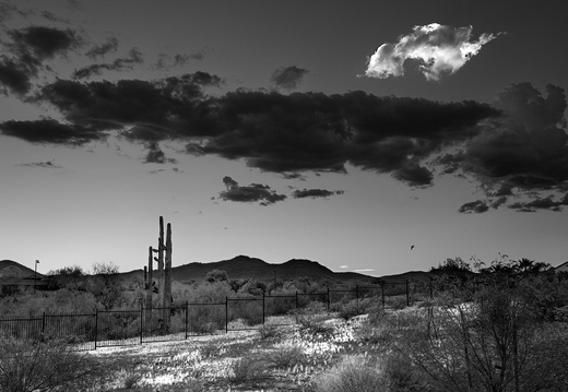 P8110001 2 3 4 5 prg