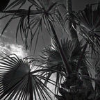 R0005852rg