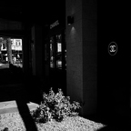 R0005935rg