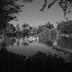 R0006008rg