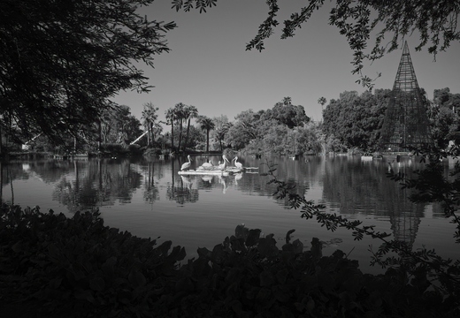 R0006008rg