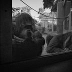 R0006014rg