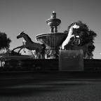 R0006064rg