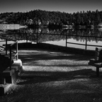 R0006186rg