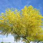 R0006734rg