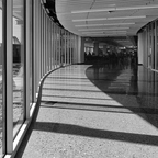 R0006953rg