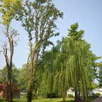 R0006992rg