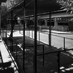 R0007154rg