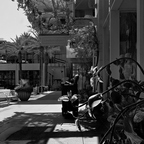 R0007169rg