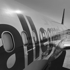 R0006972rg2