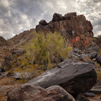 R0007225rg