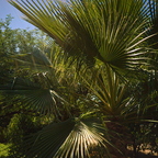 R0007540rg2