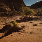 R0007625rg