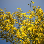 R0007958rg