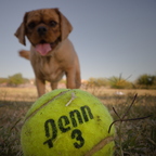 R0008027rg