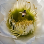 P4300198rg